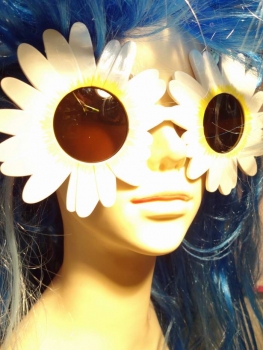 Funky Daisy COLLECTION ZEITGEIST